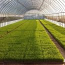 인양양초장 이미지