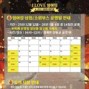 초롱 | [청계천] 서울 빛초롱 축제 | 잉어킹 후기