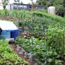 하영올레 3코스 이미지