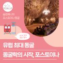 All that Caverns / 슬로베니아 포스토이나, 동굴학이 시작된 유럽 최대 동굴 with 프레드야마 성