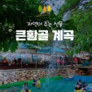 큰황골가든 이미지