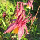 한강시민공원(자연학습장) 이미지