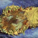 고흐와해바라기1 이미지