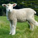 그루밍아이엠 이미지