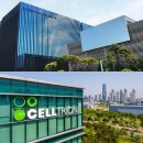 삼성바이오약품 이미지