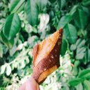 [역삼/도곡맛집] 모닝테이블 (Morning Table). 담백한 식사빵 전문점.