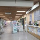 한솔용역 | 동대문구청에서 부모님 차량 내명의로 이전, 의외로 오래 걸렸던 후기