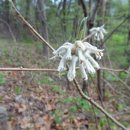 서북동마을 이미지