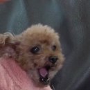 이학주 농장 이미지