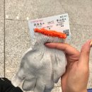 서남교(하) | (중국교환학생)어게인시안 2일차-화산(华山)/맛집추천-샤오루투어(小骆驼烧烤),꿀팁,가격포함