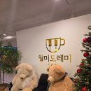 [인천 중구]월미도레미_월미도 대형카페 바다 뷰 맛집 내돈내산