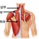 리온 휘트니스 이미지
