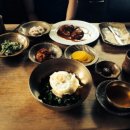 너구리의 피난처 이미지