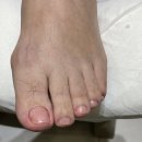 레푸스 평택소사벌점 이미지