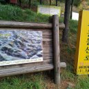 도사곡길 이미지