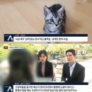 사과목장 MBC연예