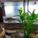 수앤컴퍼니 이미지