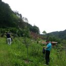 초가민박 이미지