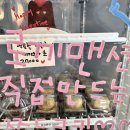 윤슬상점 | 강릉 안목 가볼만한 곳, 소품샵-로끼맨션 🎁,안목역 선물상점❣️,안목 카페거리☕