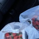 영롱농장 이미지