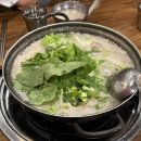 제스타노래타운