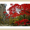 스타무도장 이미지