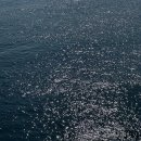 속초뽑기방 이미지