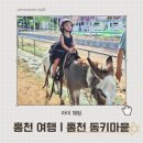 동키 | 강원도 홍천 가볼만한곳 추천 | 25개월 아기와 동키마을 후기