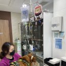 부산종합동물병원 이미지