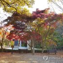 절정단란주점