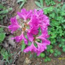 이마트약국 이미지