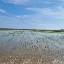 현대농장(A) 이미지