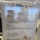 원주24시스카이동물메디컬센터 이미지