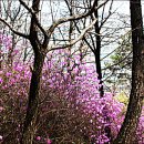 수성구민운동장 이미지