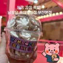 릴리펏롯데백화점부산본점 | 핑크 감성 폭발! 남포당 롯데백화점 부산본점 후기