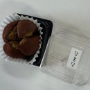 몽당내 | 맛집 추천, 울산 몬드제과, 태화동 두쫀쿠 메리파인, 위치스위츠, 당몽당, 디쿠케 두쫀쿠 내돈내산 후기