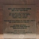 네코오뎅 | 인천 도화동 맛집 제물포역 앨리웨이 근처 분위기 좋은 이자카야 네코 미추홀본점 방문 후기