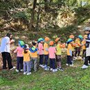 초록샘어린이집 이미지