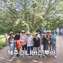 투어버스여행(주) | 제주 미니버스 투어 25인승 후기, 여행 내내 편안했던 이유