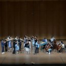 2024 여수에코국제음악제 이미지