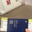 (주)엔터리얼 | 베트남 여행 (1) 진에어 지니플러스 vs 베트남 항공 vs 대한항공 좌석 탑승 비교 후기