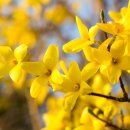 합성동292 이미지