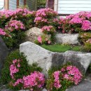 풍경 민박 이미지