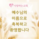 서울시 송파구 방이동에서 새가족으로 등록하셨습니다. 이미지