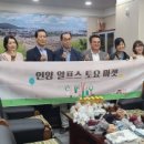알프스행정 이미지