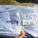 블루힐세탁 이미지