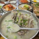 제주정제토속뚝배기 | (제주맛집/연동) 제주공항 아침식사 추천 제주 토속음식 접짝뼈국 원조격 '일억조 제주공항점'