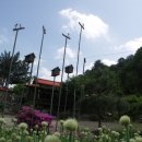 별꽃둥지민박 이미지