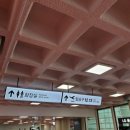 체크 인 제주 이미지