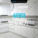 광진 pet 이미지